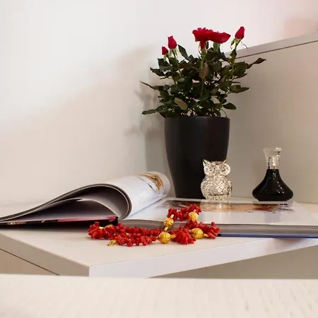 Mariposa 도르갈리