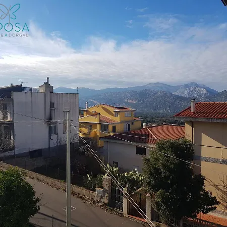 Mariposa دورغالي