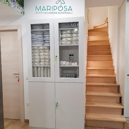 Mariposa *